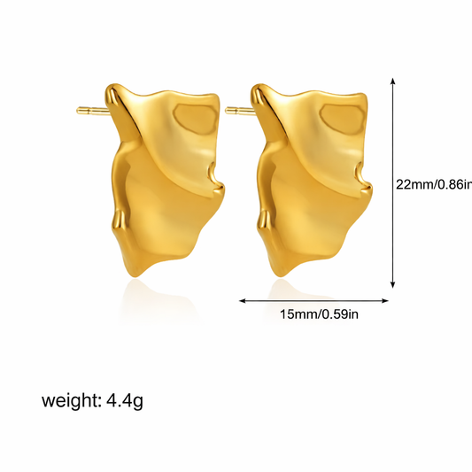 Modern Women’s Stainless Steel Earrings
