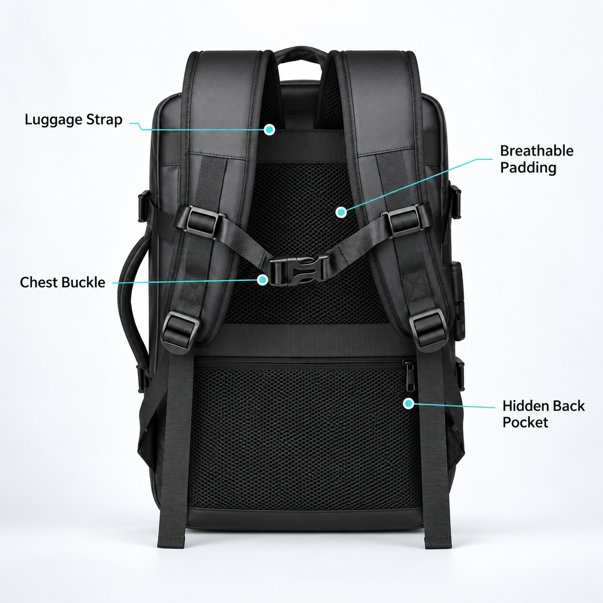 Back of a black travel backpack showing padded shoulder straps, mesh padding, chest buckle, luggage strap and zippered pocket
